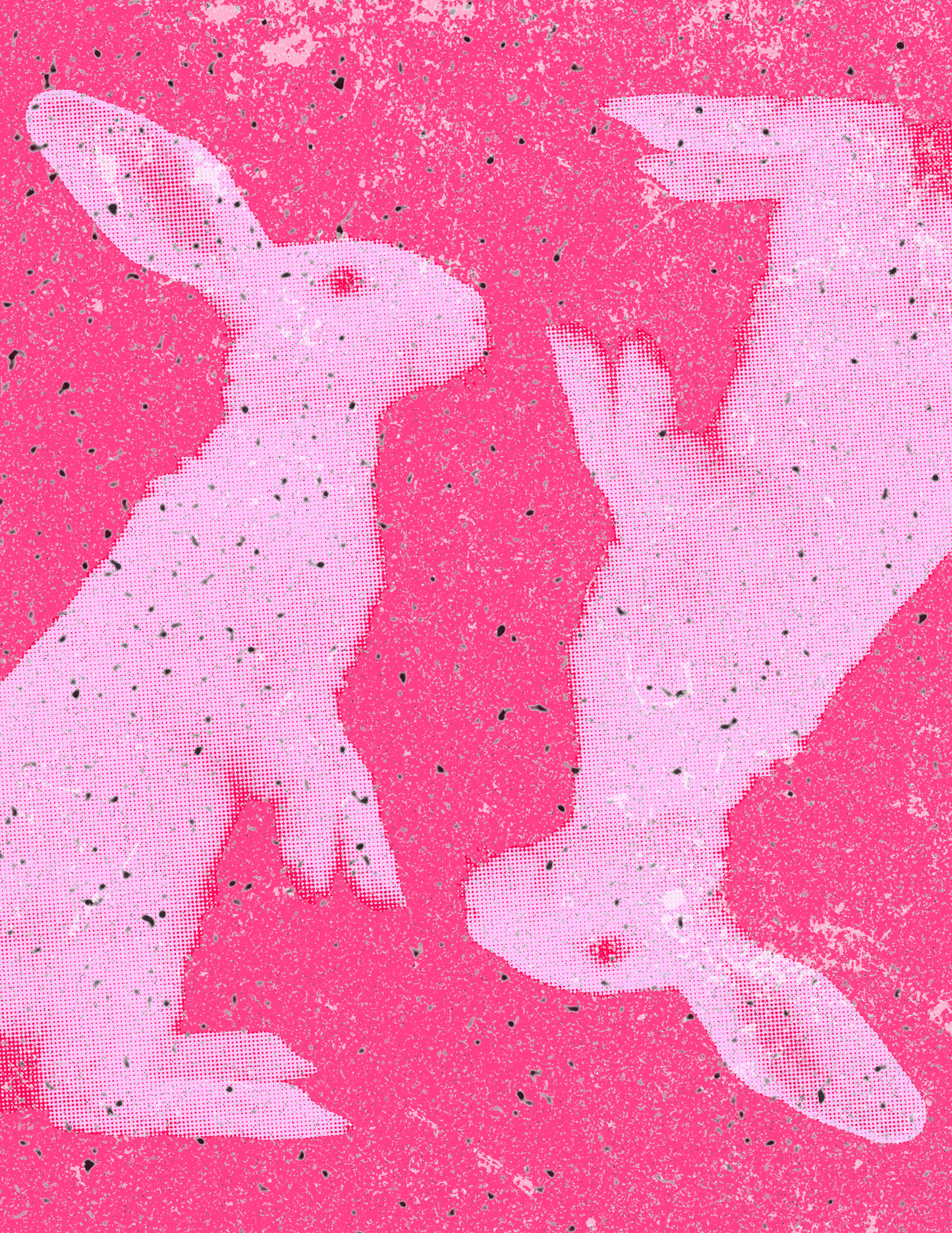 8.5 x 11 Double Trouble Bunny Print