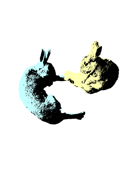 Fighting Bunnies print