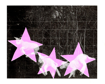 *limited edition* 8 x 10 risograph print "lunge"