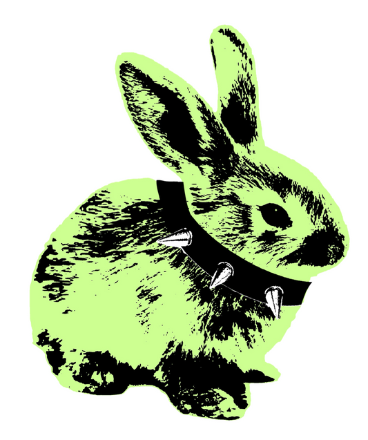 8.5 x 11 Spike Bunny