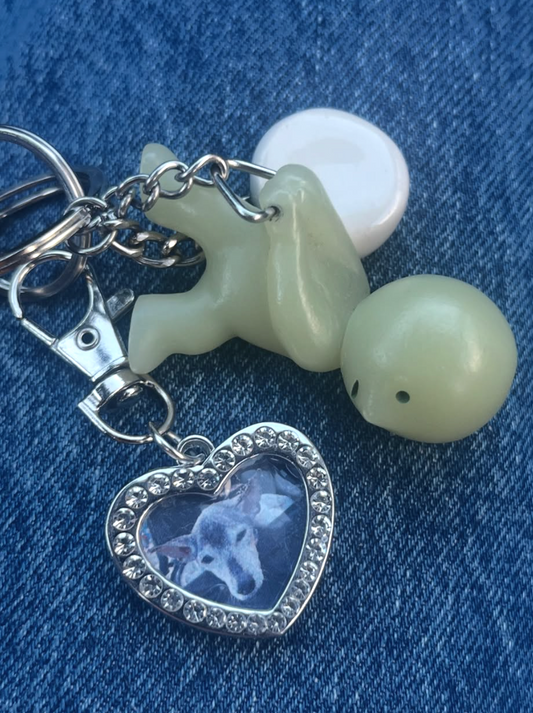 Interchangeable Photo Frame Pendant - Keychain or Necklace